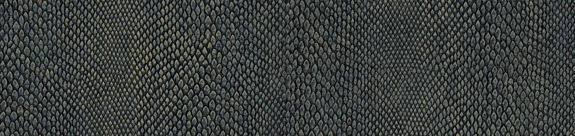 Hooked on Walls Leopard Walk