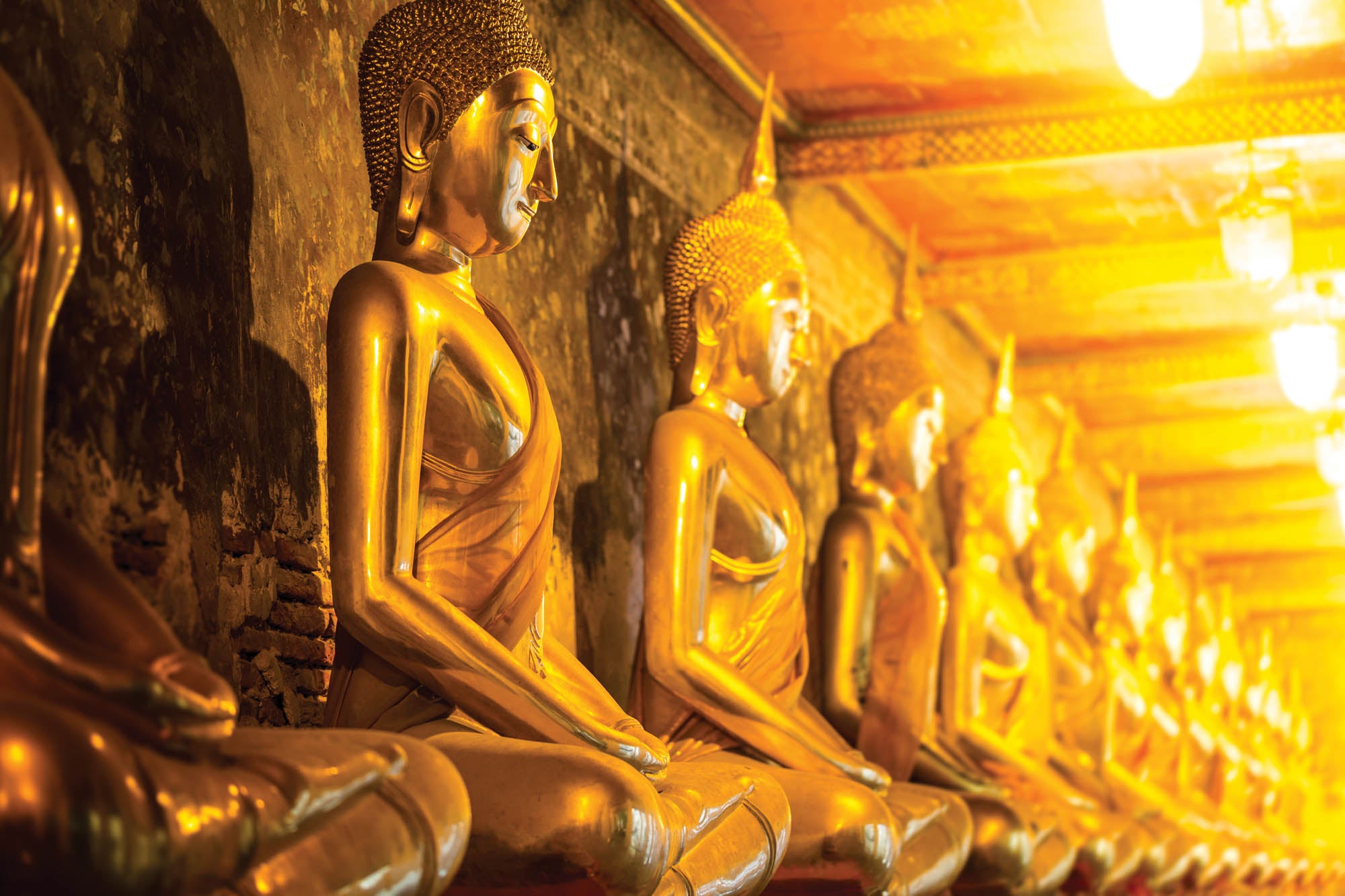 Mediterende boeddha's - LW00092