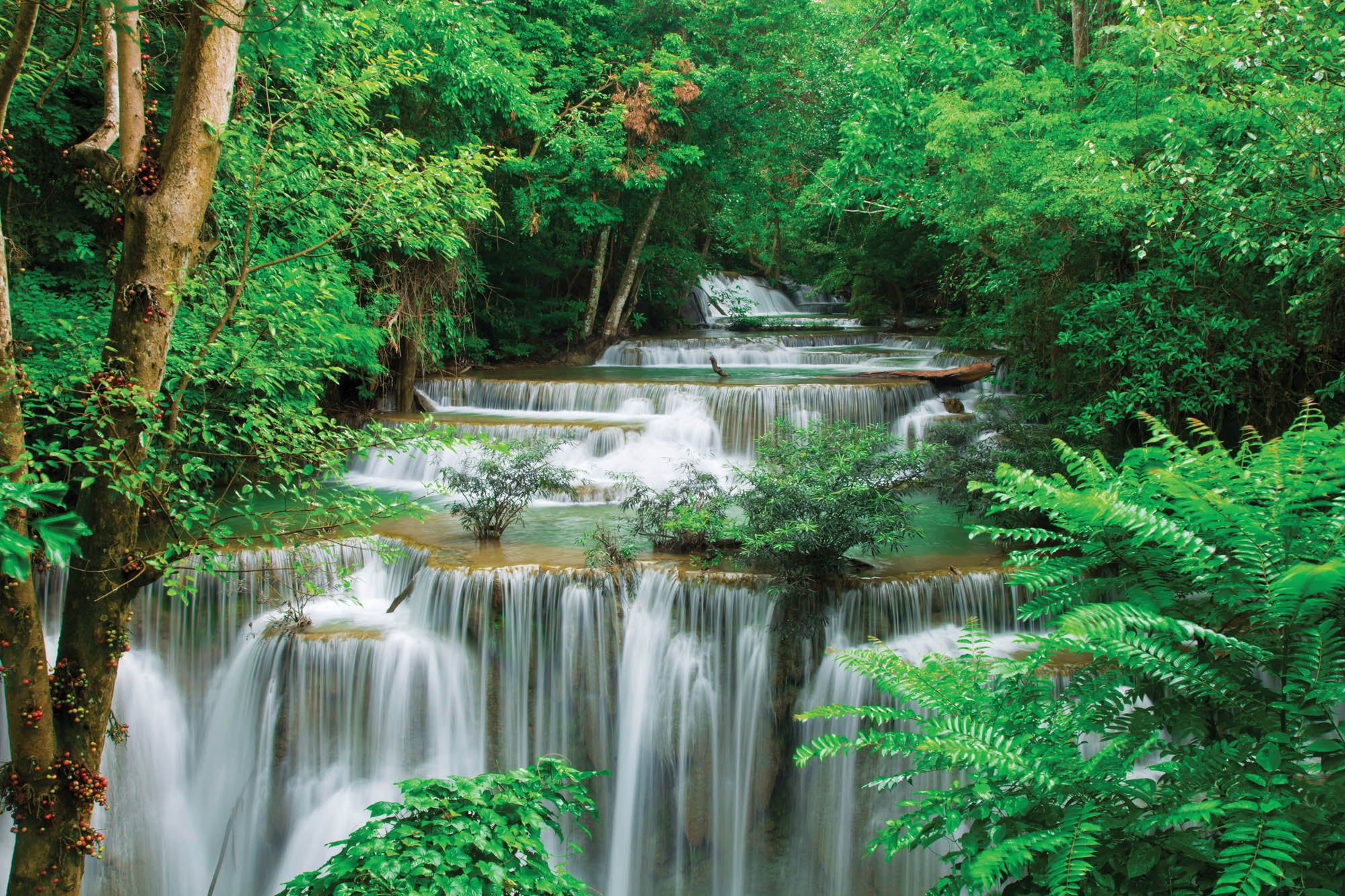Waterfall in green forest - LW00247
