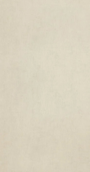 BN Walls Color Stories Salt 218510