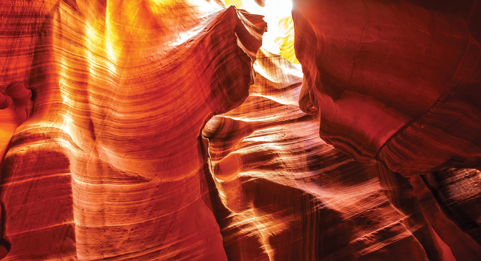 Kloof Arizona - LW00113