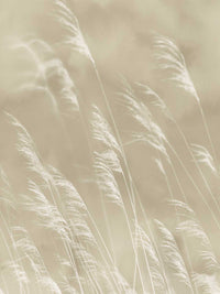 Eijffinger Waterfront 300900