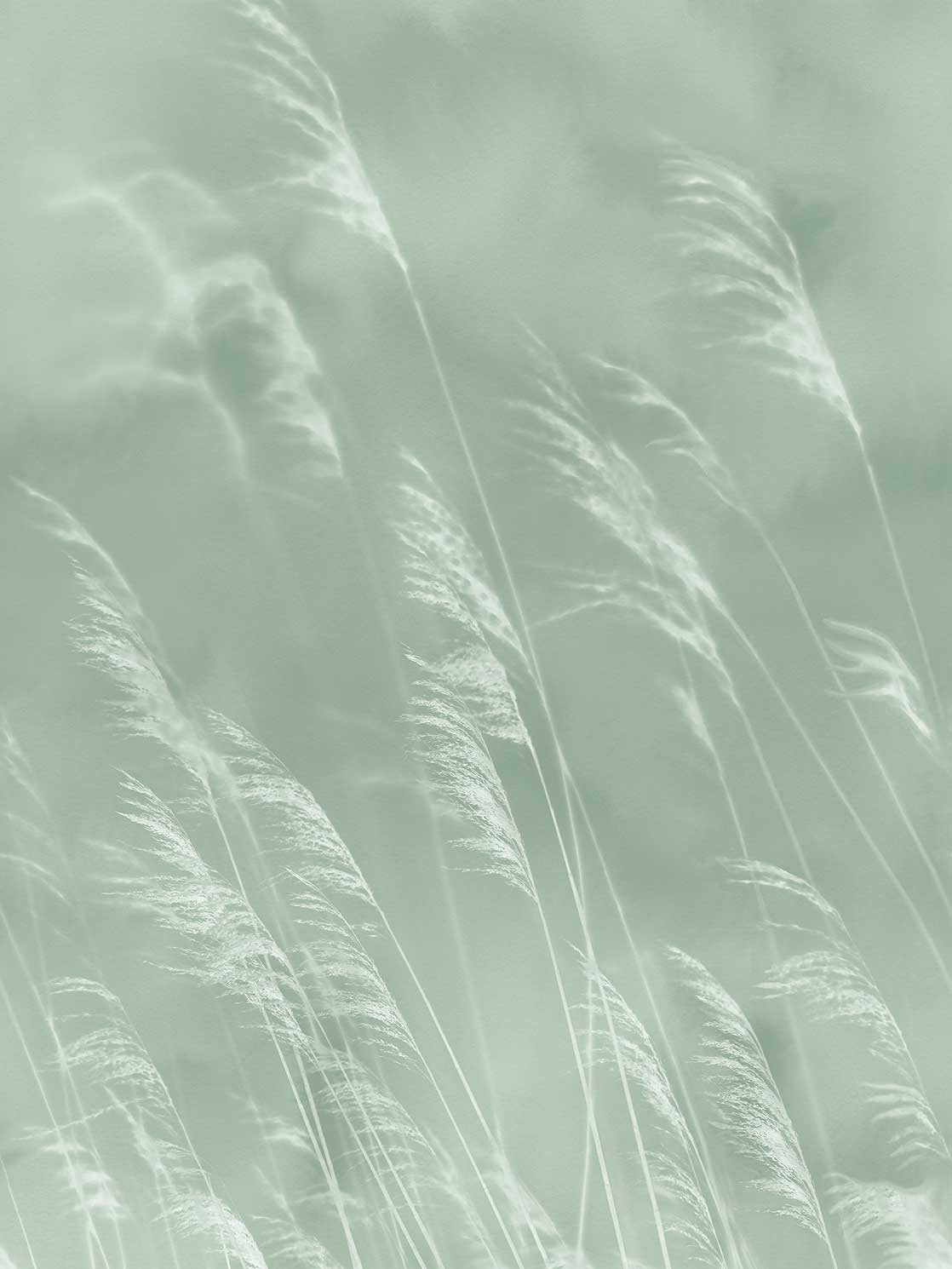 Eijffinger Waterfront 300901