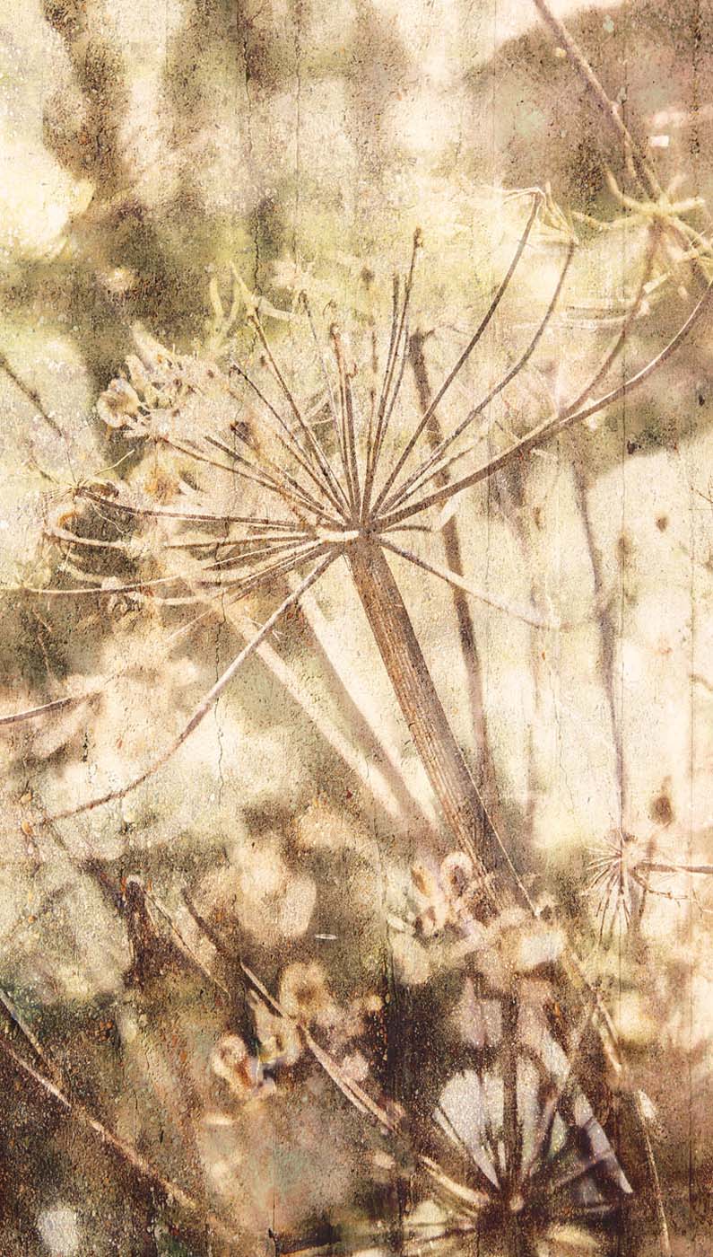 Eijffinger Wallpower Favorites 309022