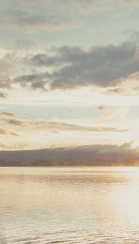 Eijffinger Wallpower Favorites 309023