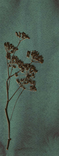 Eijffinger Wallpower Favorites 309024