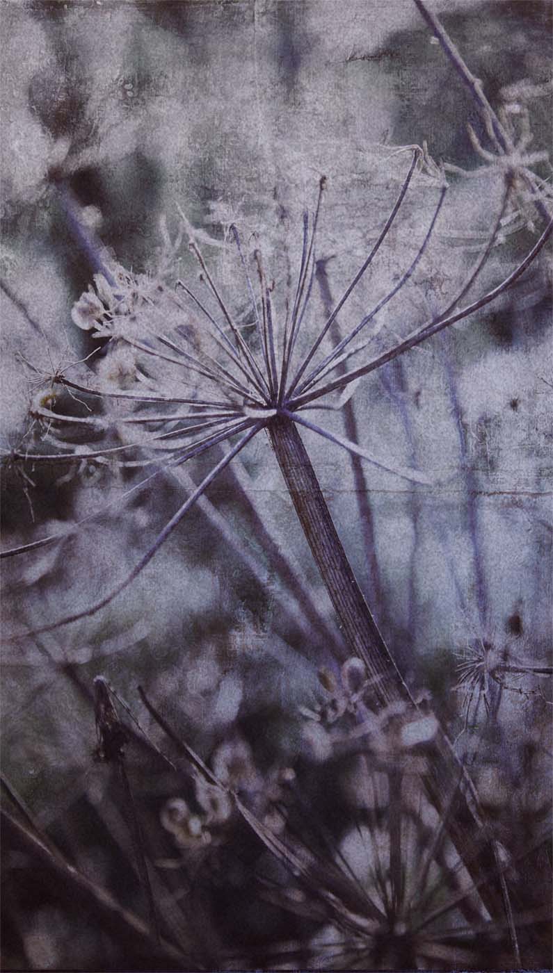 Eijffinger Wallpower Favorites 309026