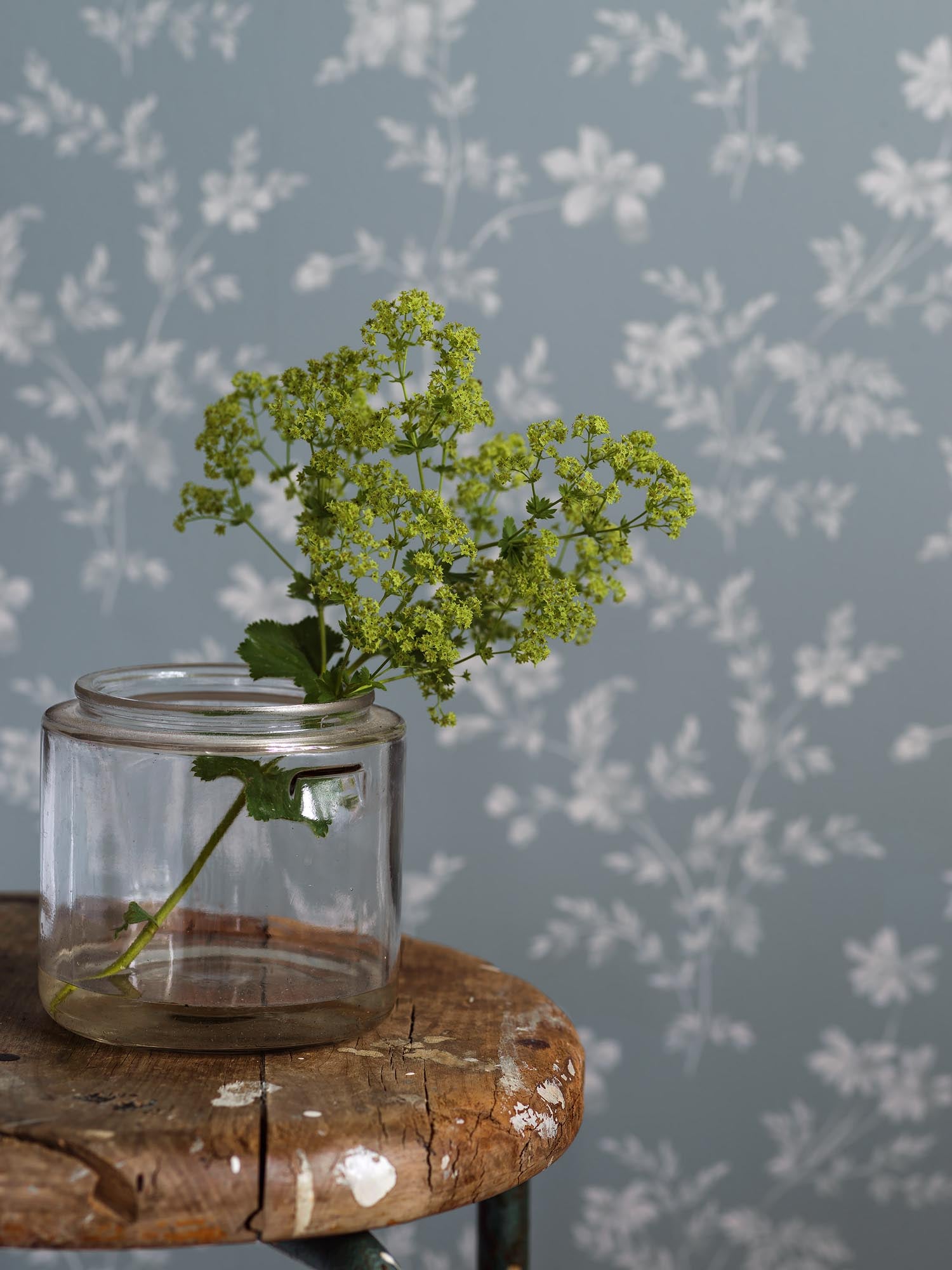 Boråstapeter Timeless Traditions Ängsblomma 3272