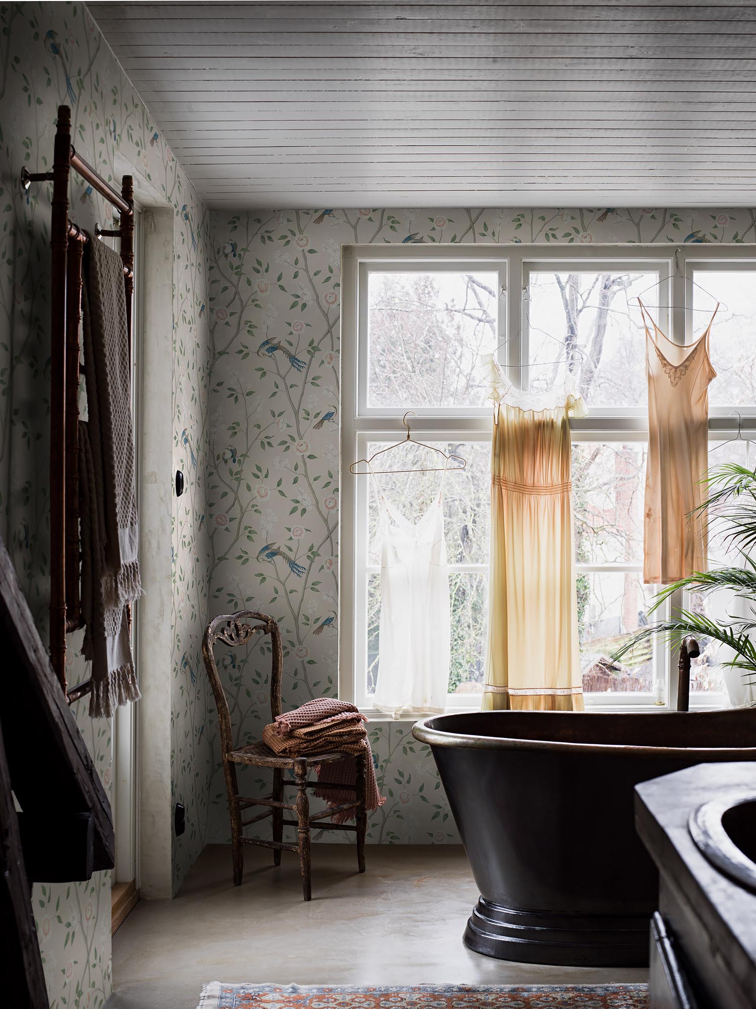 Boråstapeter Dreamy Escape Paradise Birds 4270