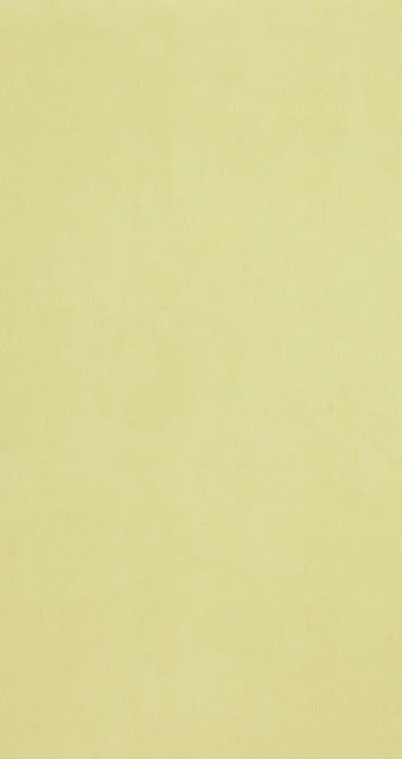 BN Walls Color Stories Baobab 48466