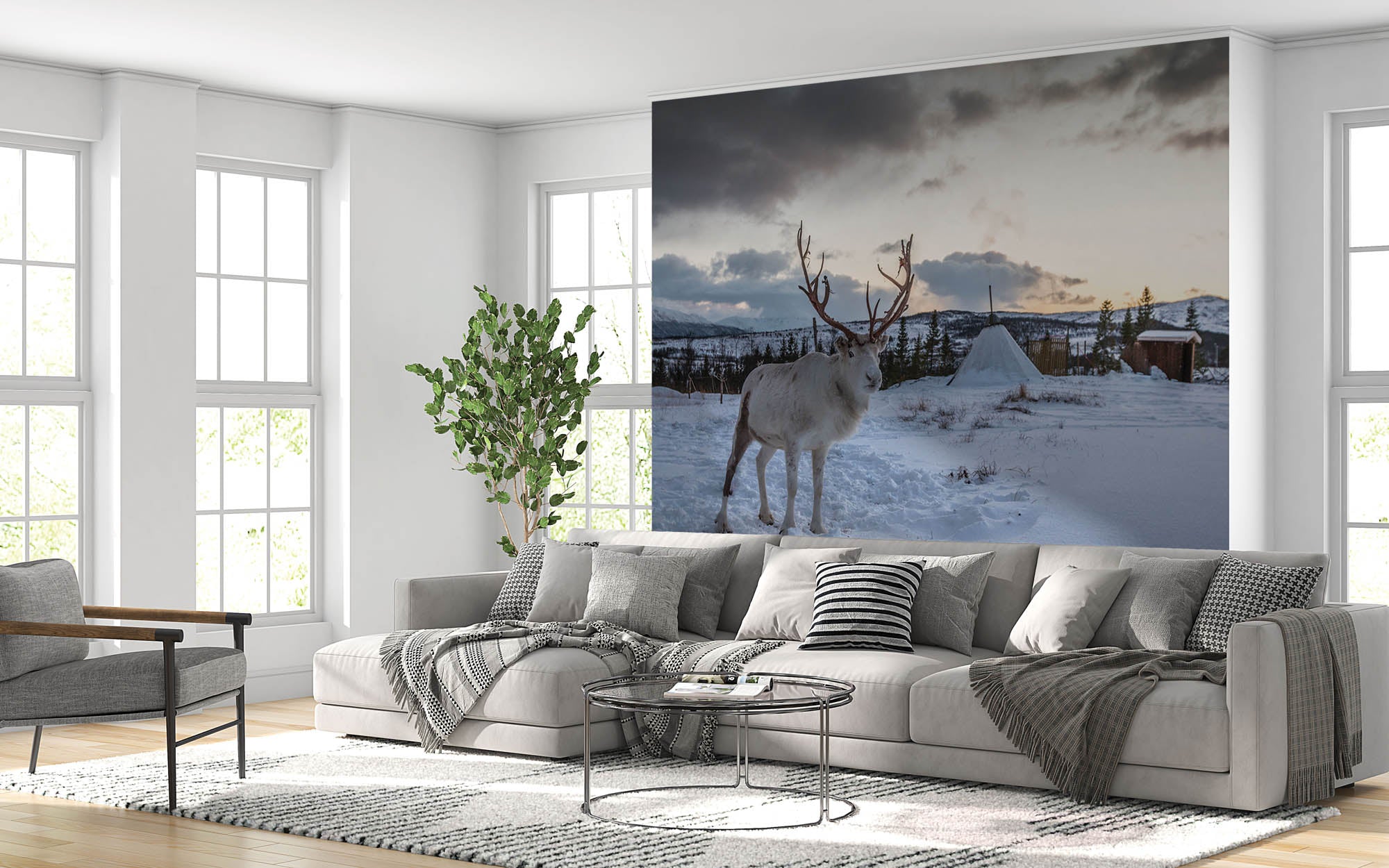 Reindeer in winter landscape - LW00175
