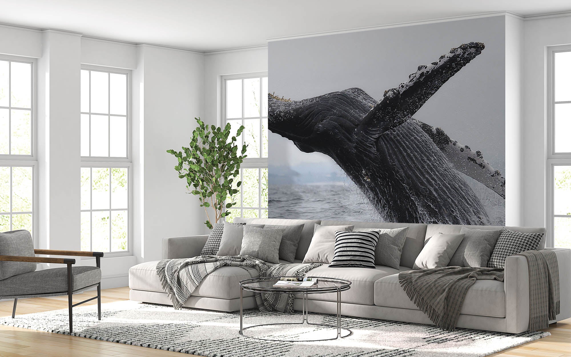 Gray Whale - LW00179