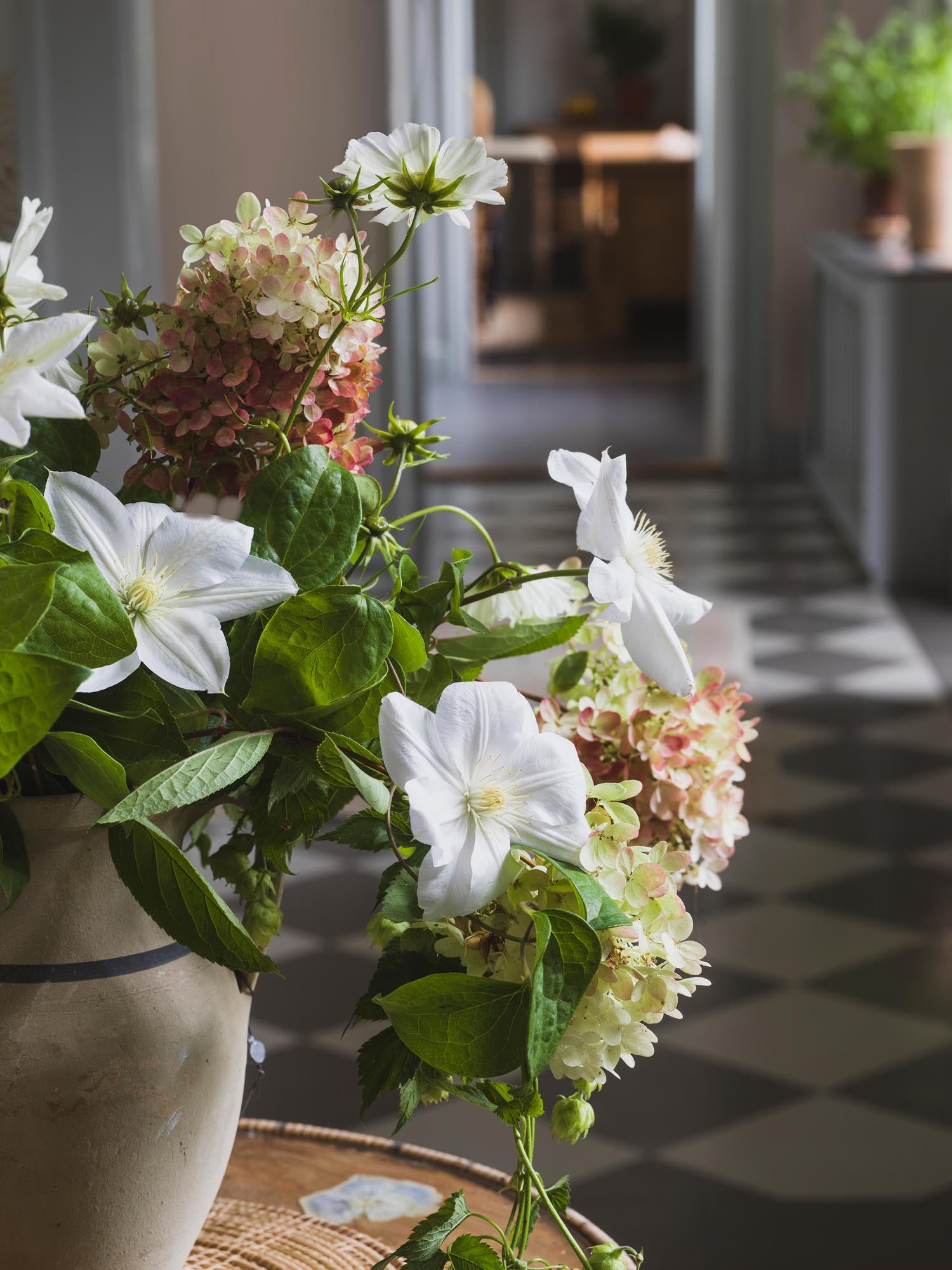 Boråstapeter Orangeri Dahliadröm 5718