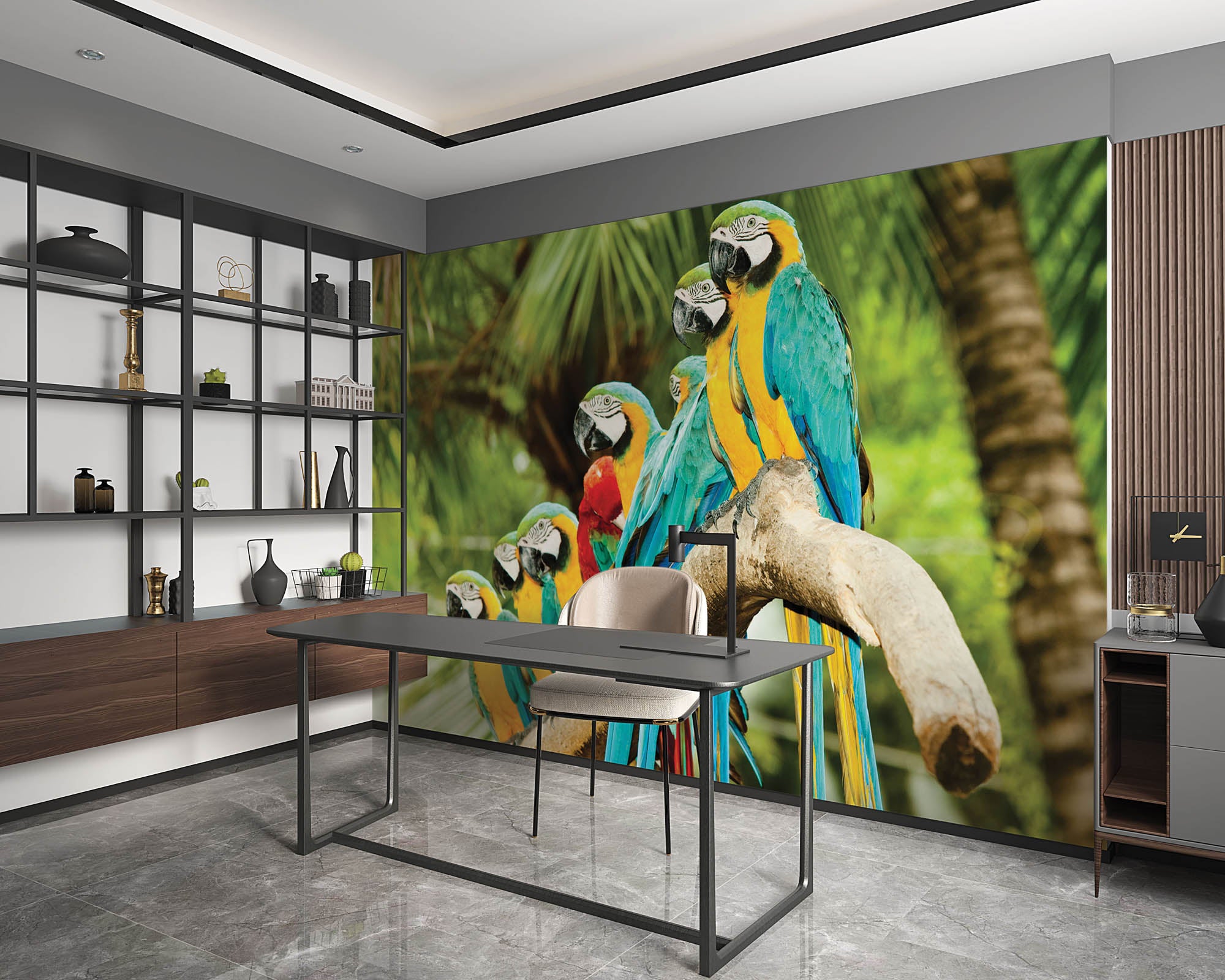 colorful parrots - LW00149