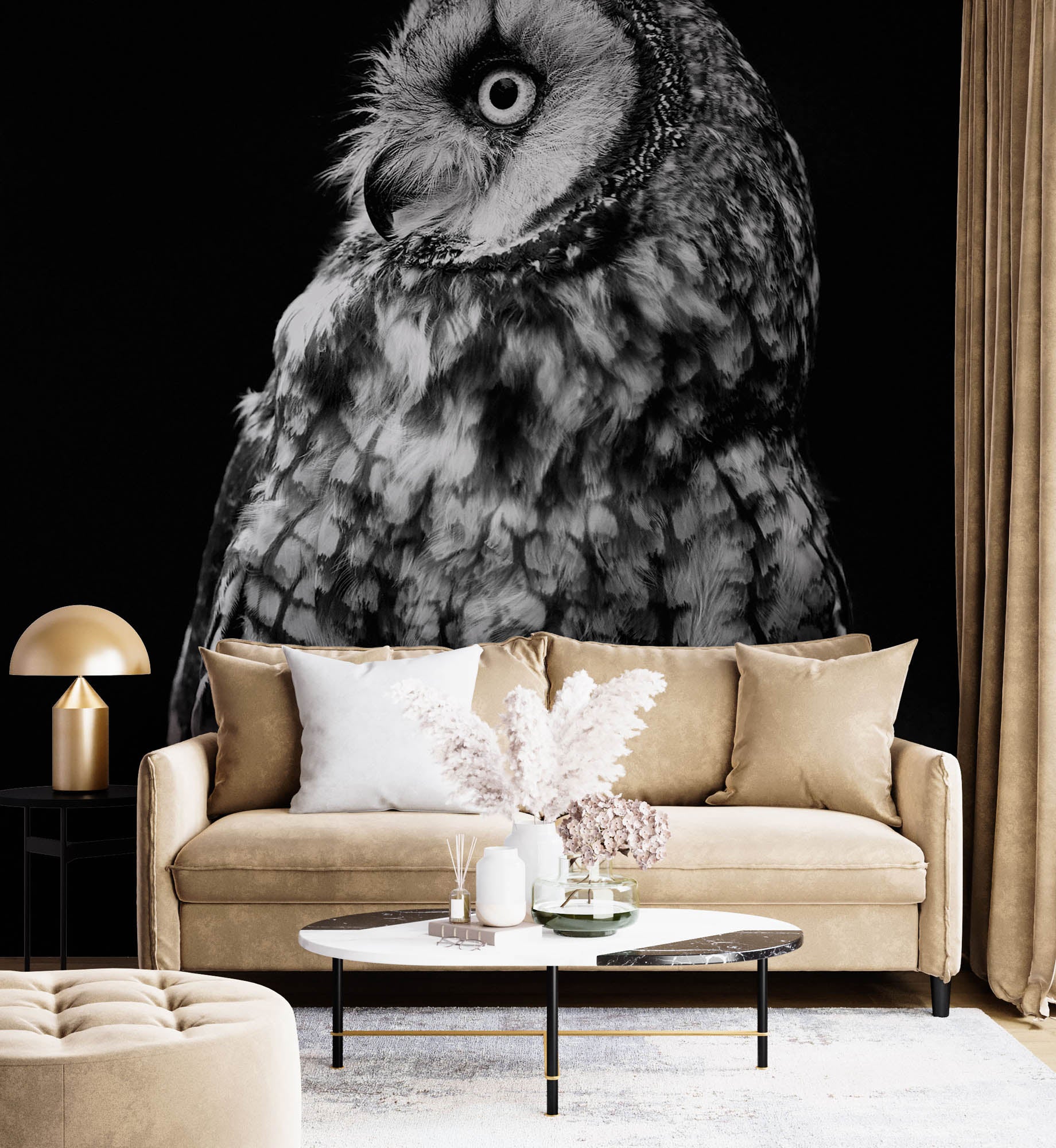 Long-eared Owl - LW00200