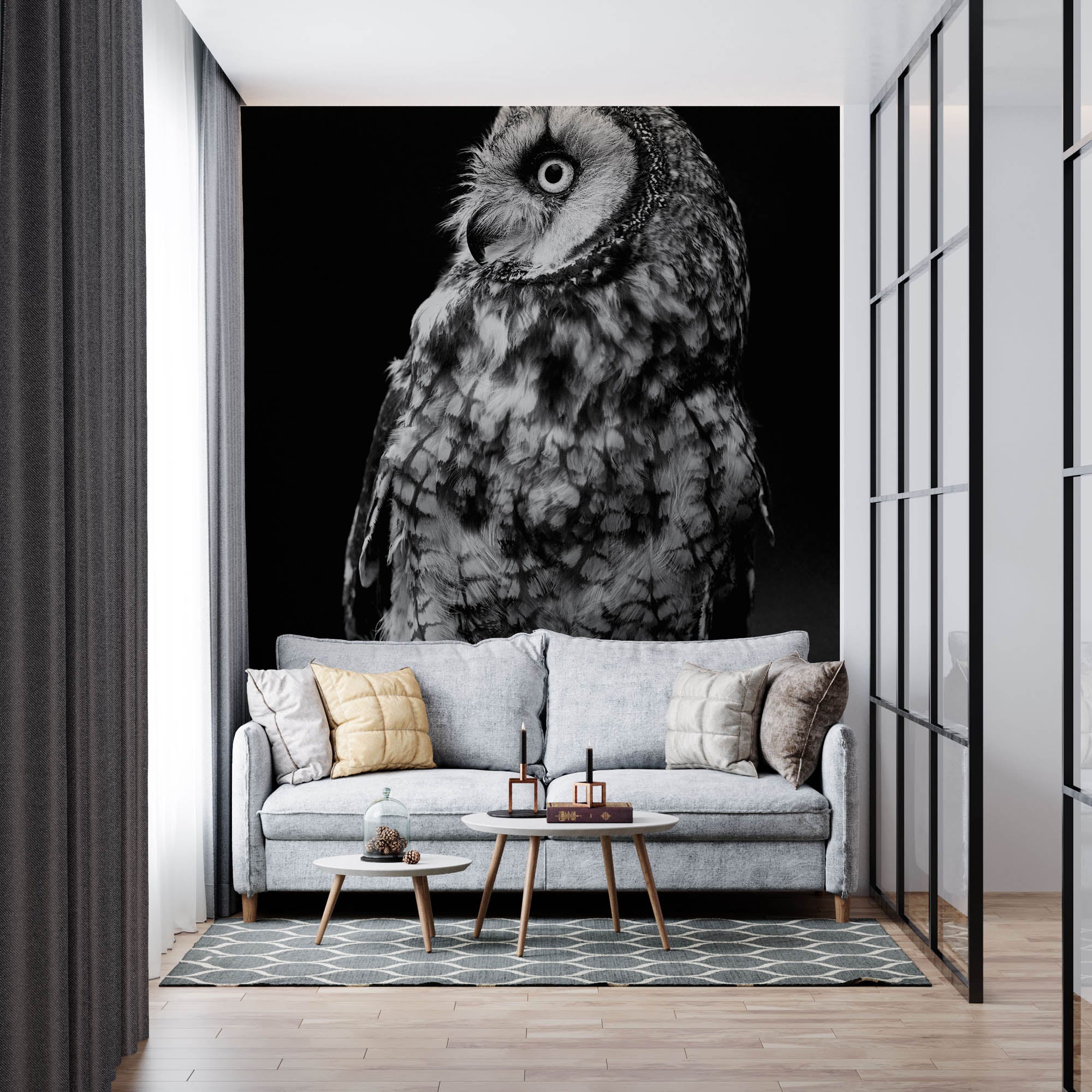 Long-eared Owl - LW00200