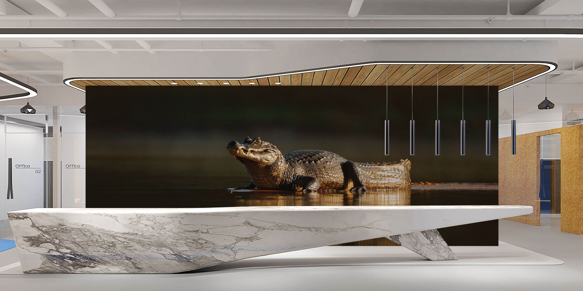 Yacarekaaiman in avondzon - LW00180