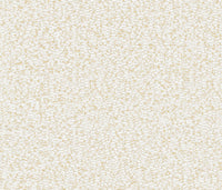 Arte Archipelago Padar ARC32