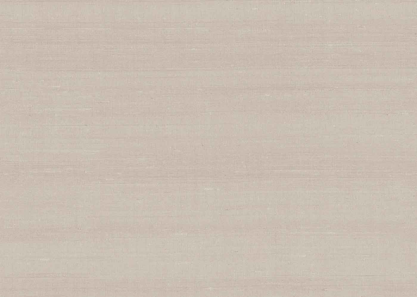 Arte Paleo Latus 50506