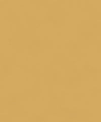 Khrôma The Color Book Color Gold BLONE1011