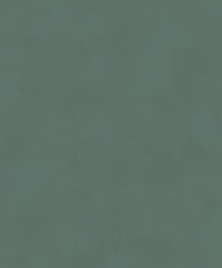 Khrôma The Color Book Color Pine BLONE1015