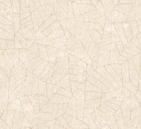 Arte Essentials Kaolin Fragment 30331