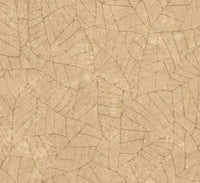 Arte Essentials Kaolin Fragment 30335