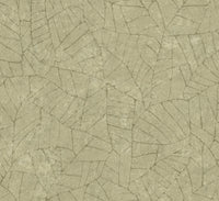 Arte Essentials Kaolin Fragment 30337