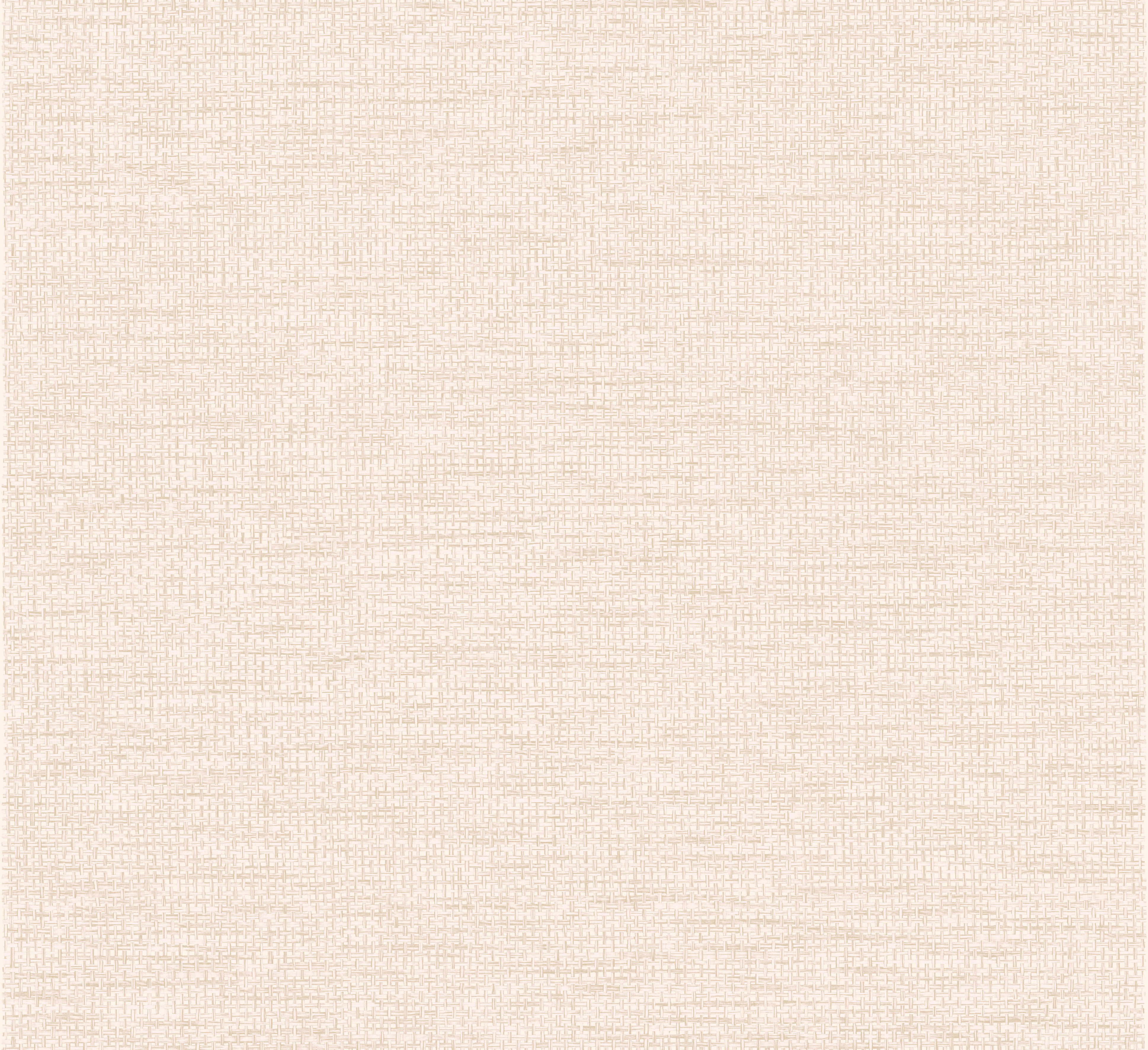 Arte Essentials Les Naturels La Raphia Tisse 26740