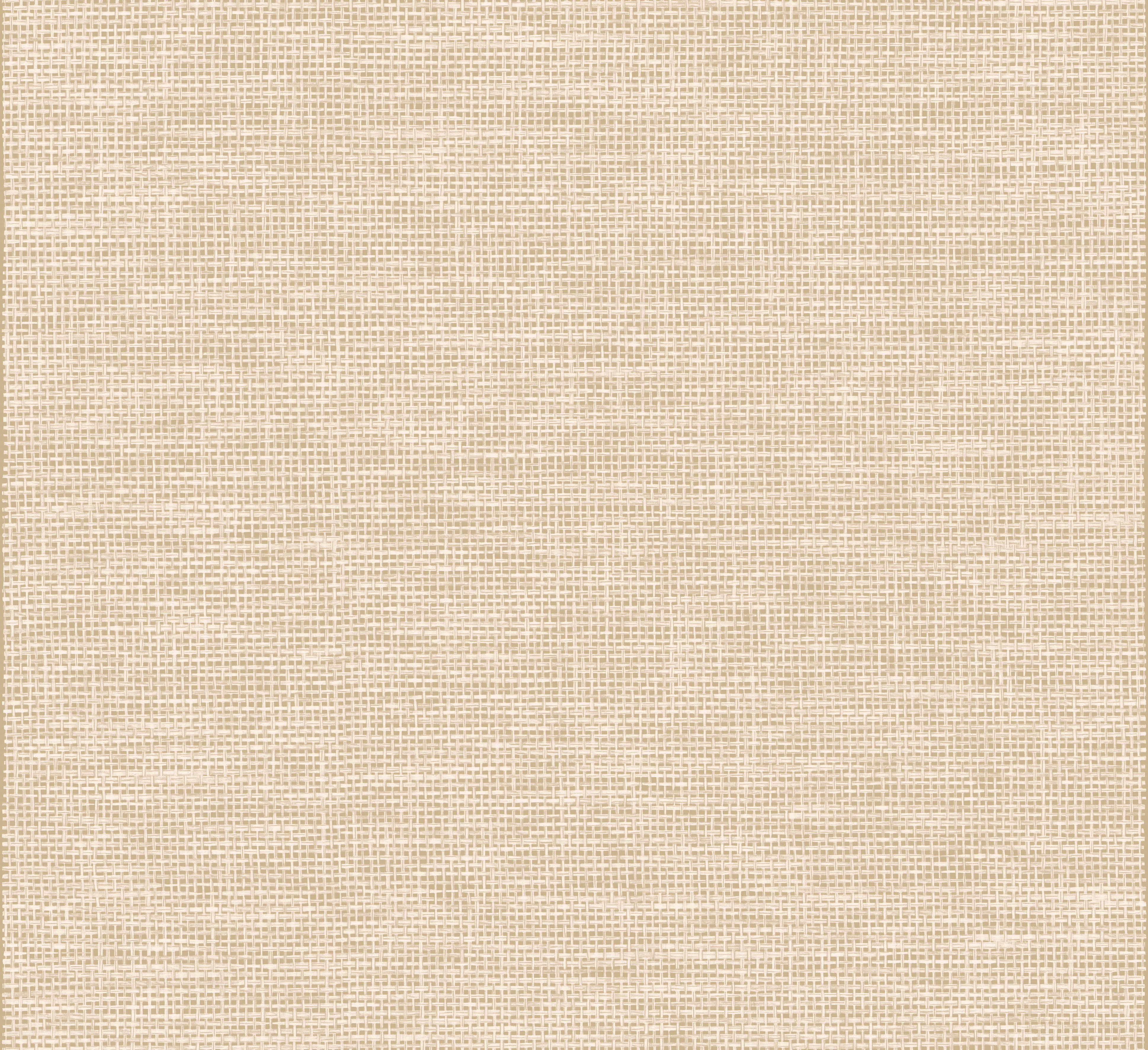 Arte Essentials Les Naturels La Raphia Tisse 26742