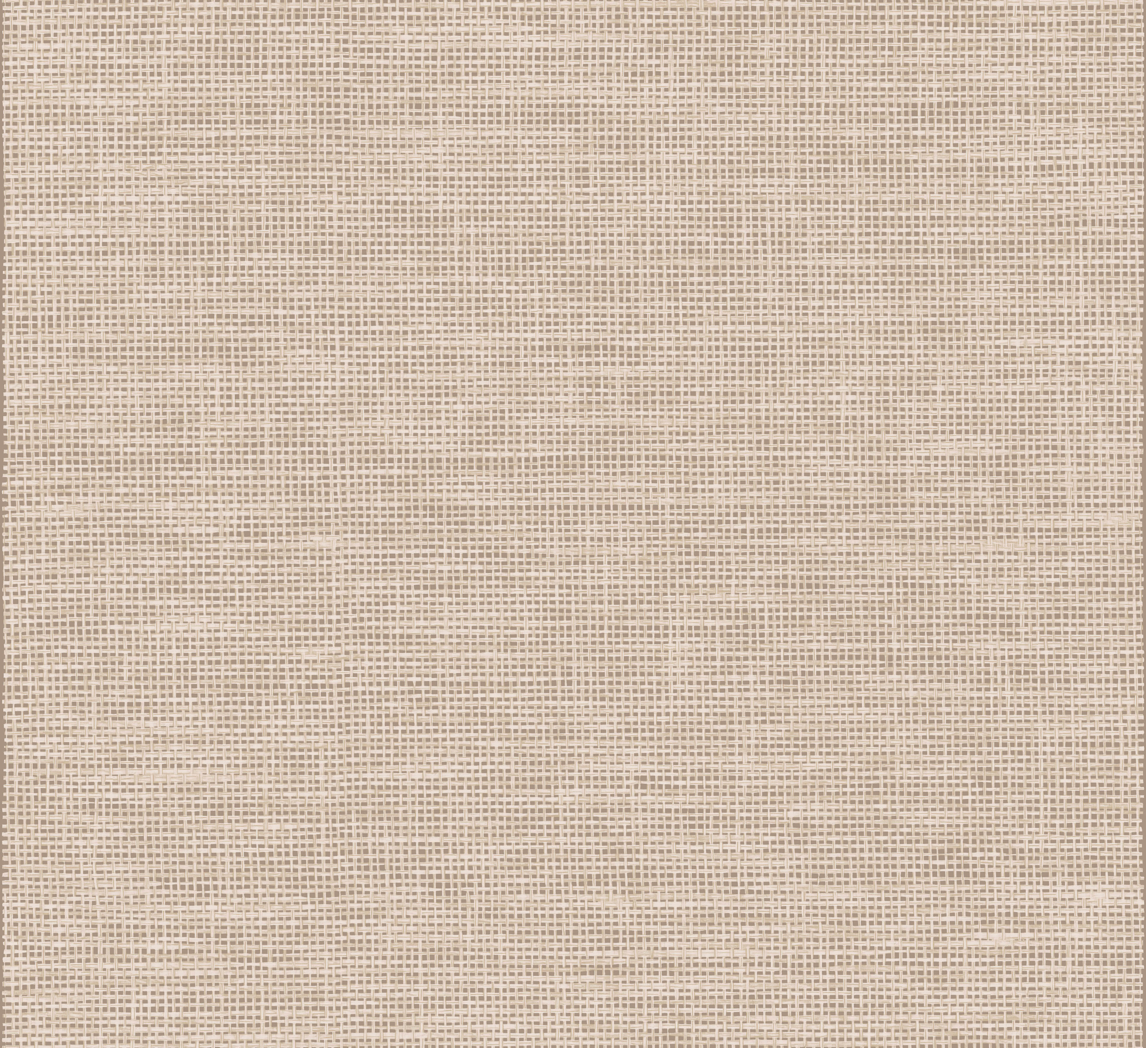 Arte Essentials Les Naturels La Raphia Tisse 26743