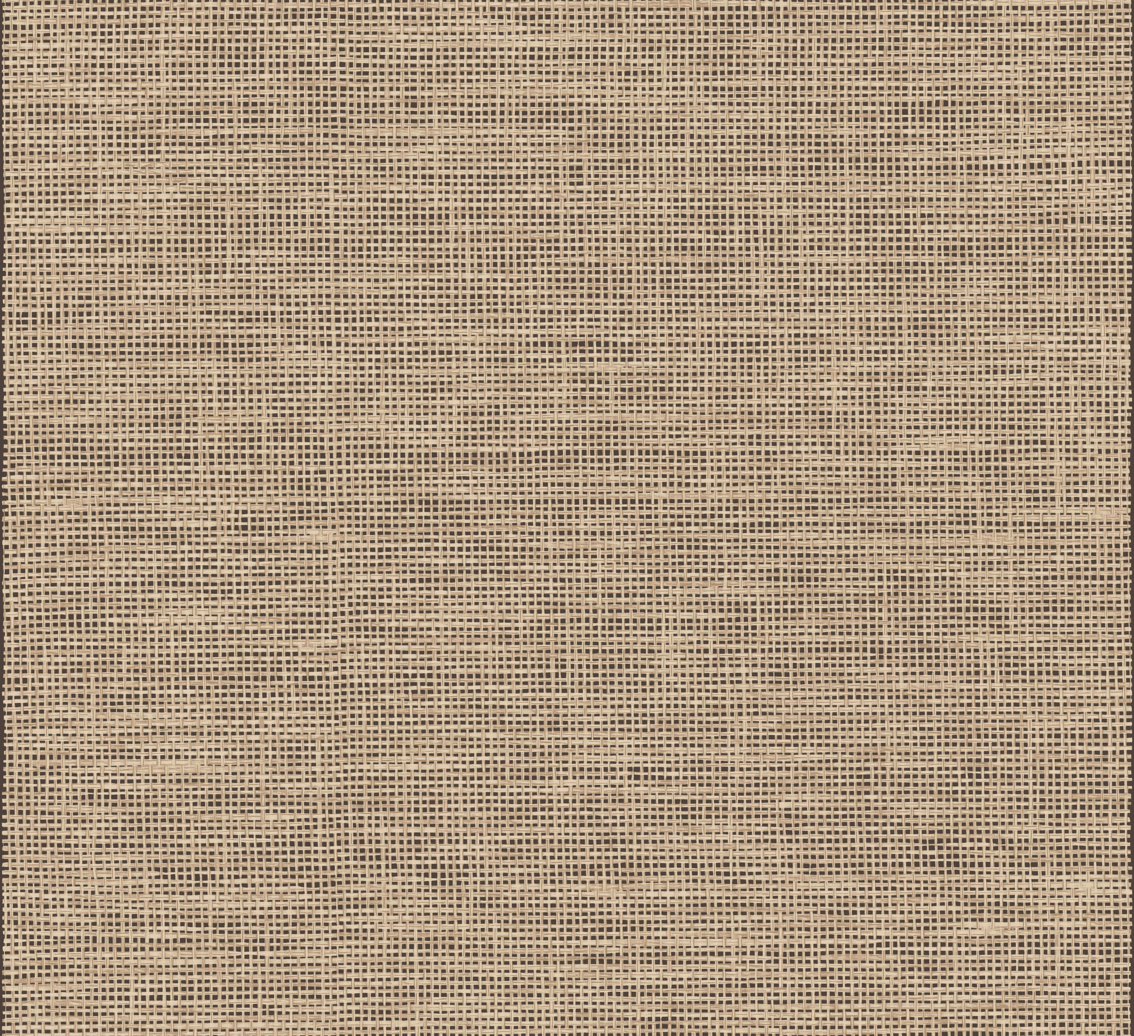 Arte Essentials Les Naturels La Raphia Tisse 26744