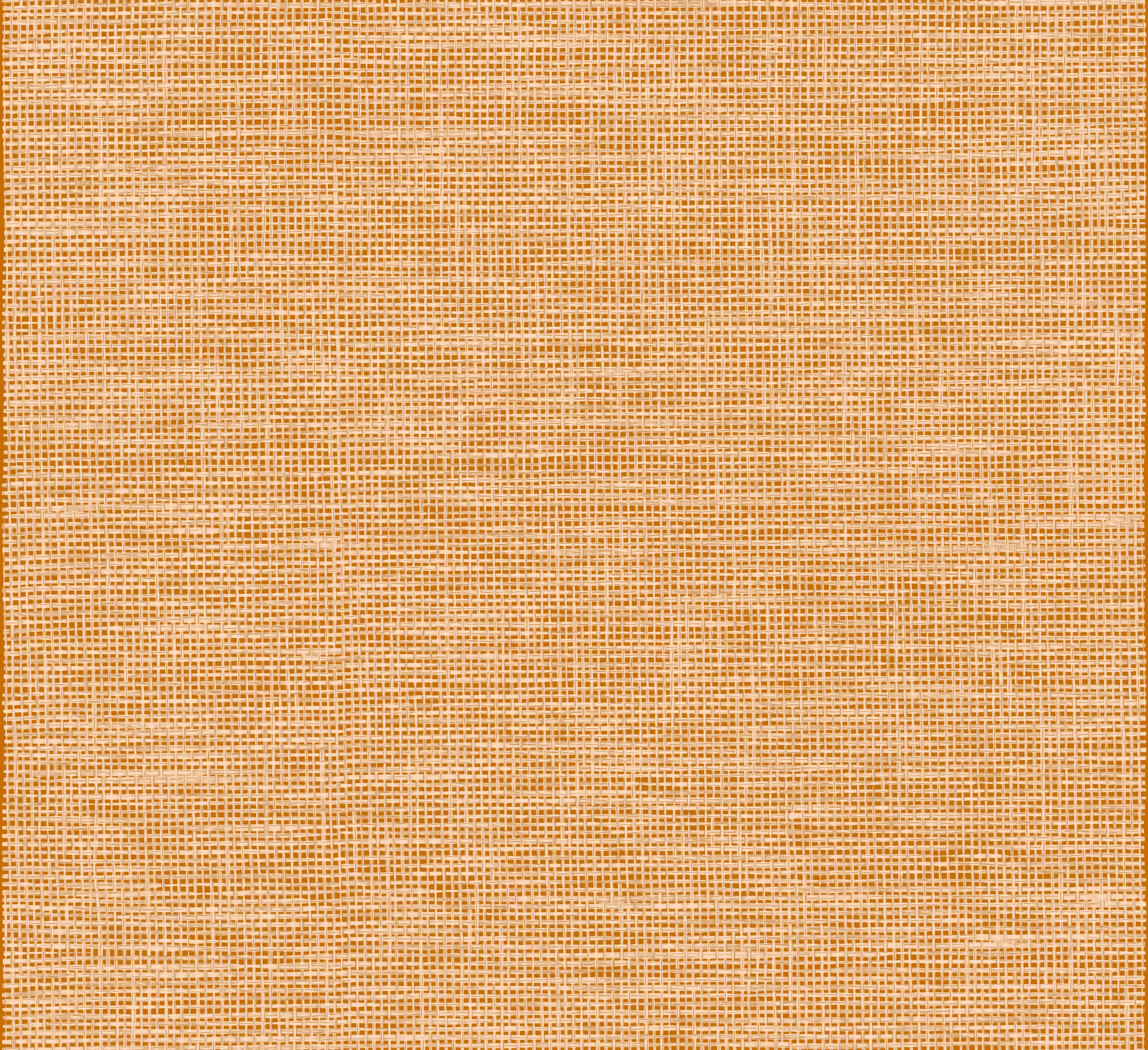 Arte Essentials Les Naturels La Raphia Tisse 26746