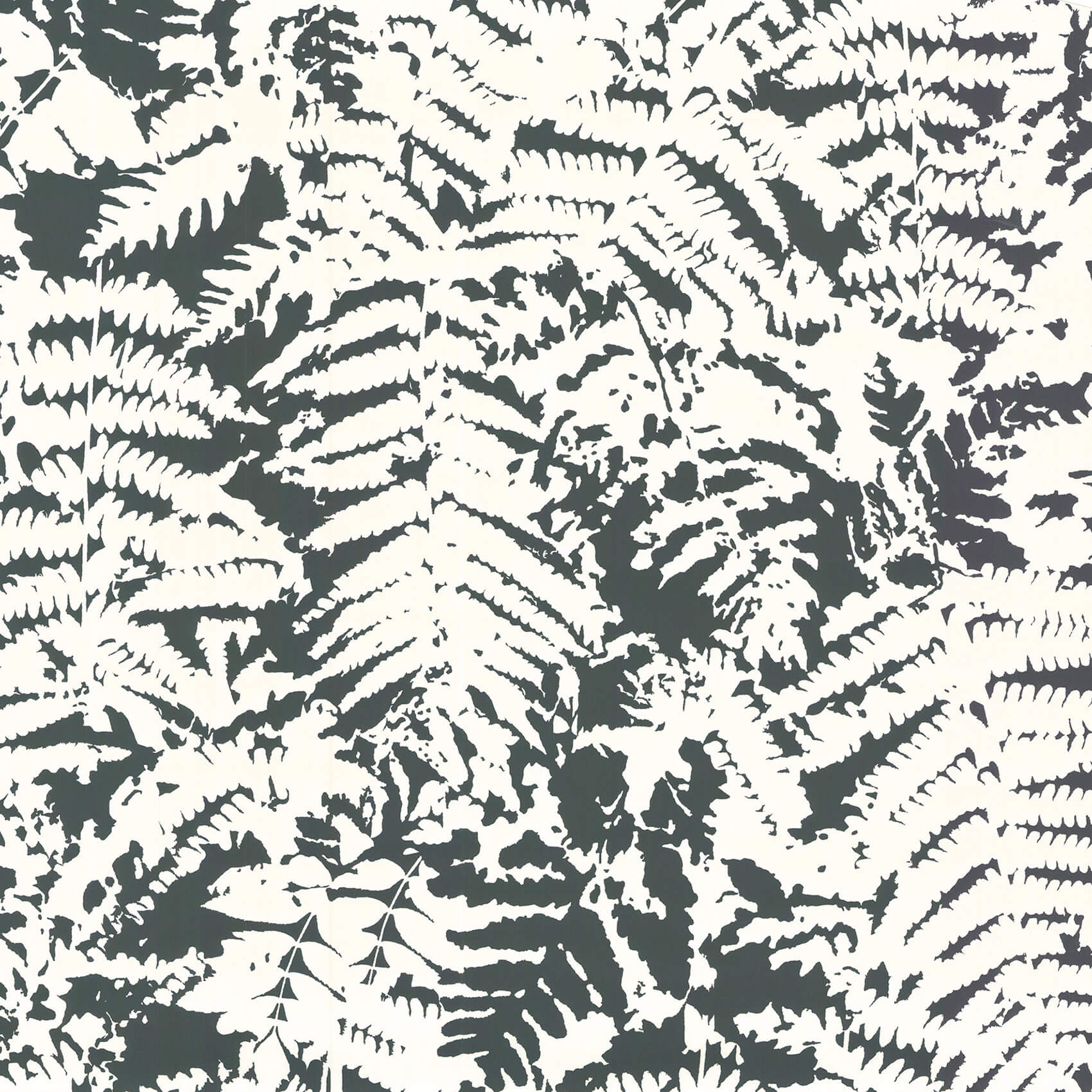 Little Green Retrospective Papers Fern Off Black