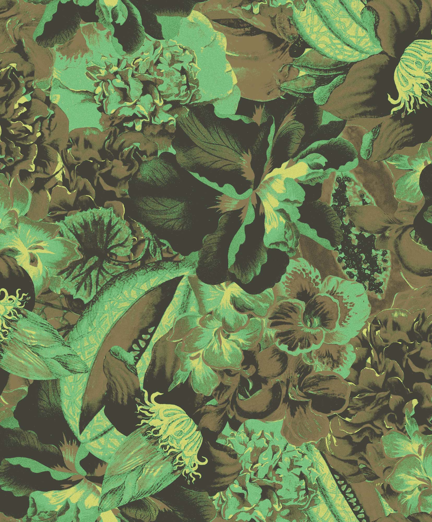 Khroma Havana Plume Viridian HAV901