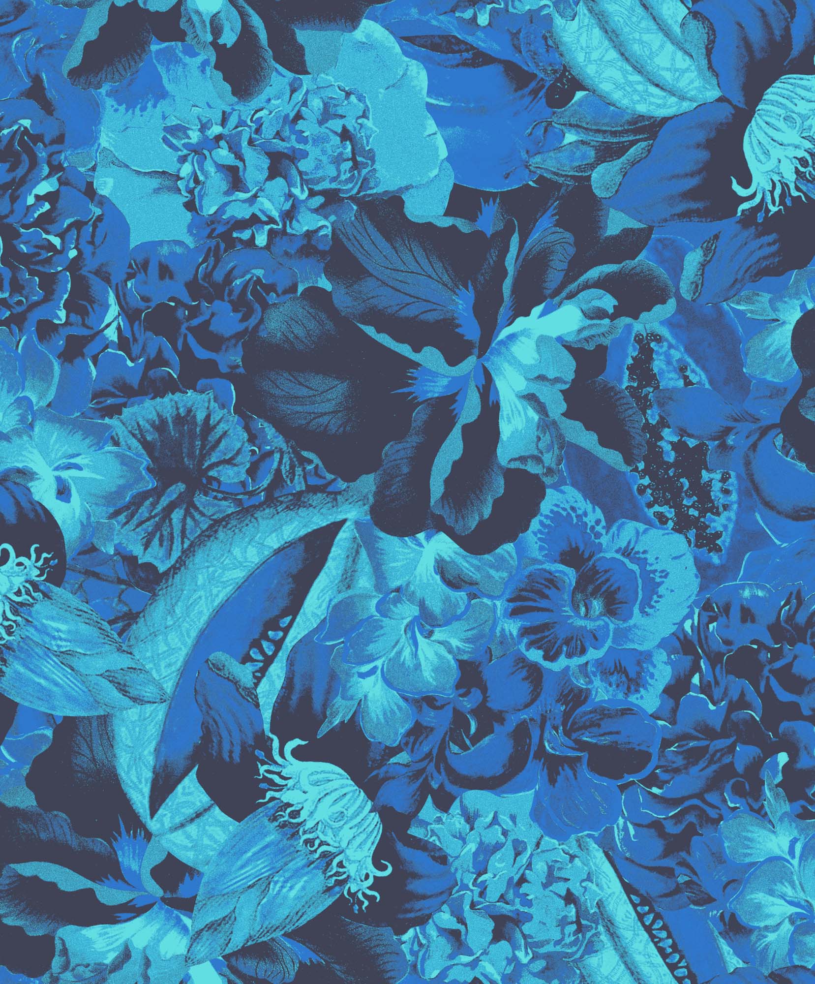 Khroma Havana Eduardo Paradise HAV902