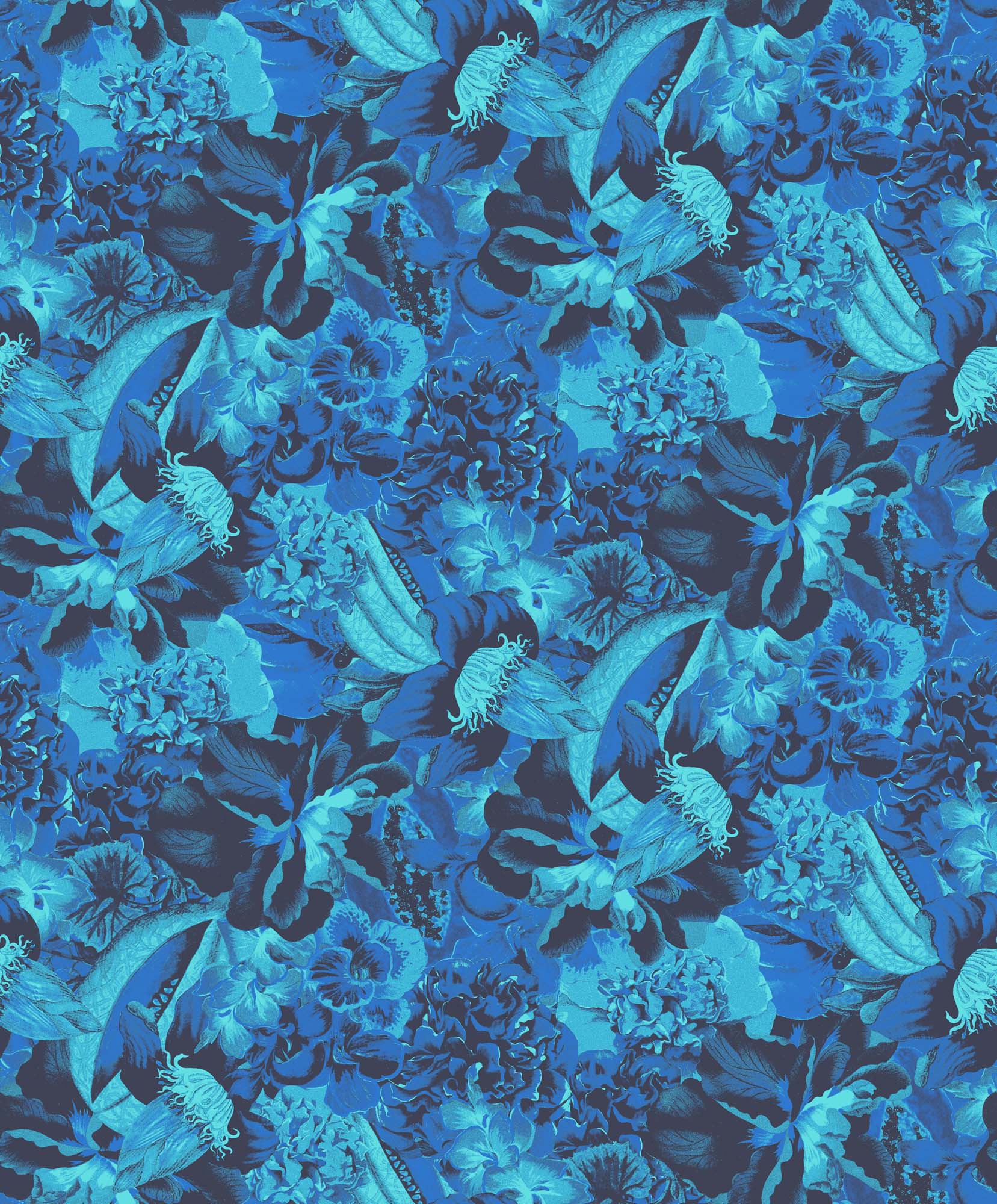 Khroma Havana Eduardo Paradise HAV902