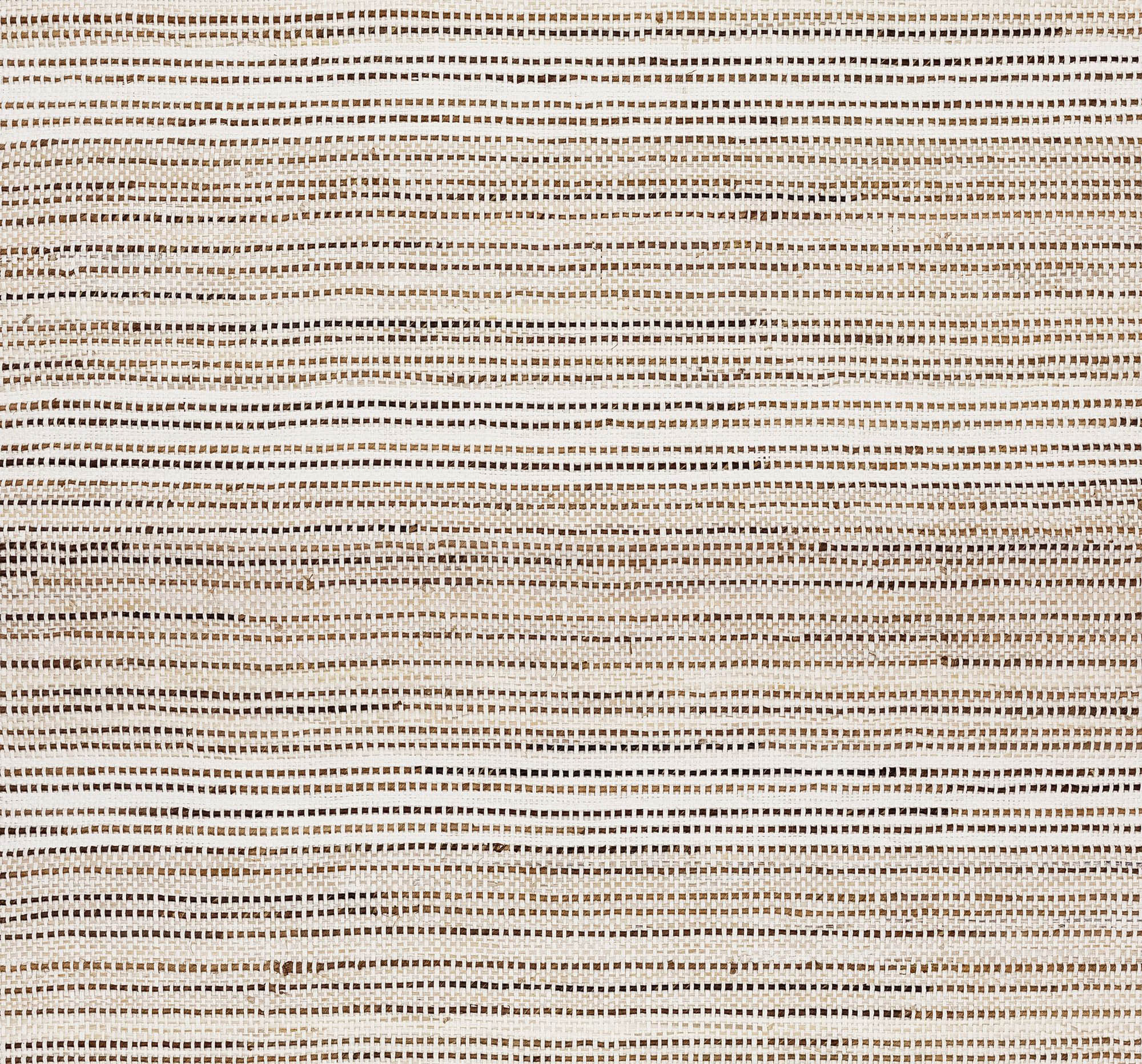 Arte Intuition Perception INT311