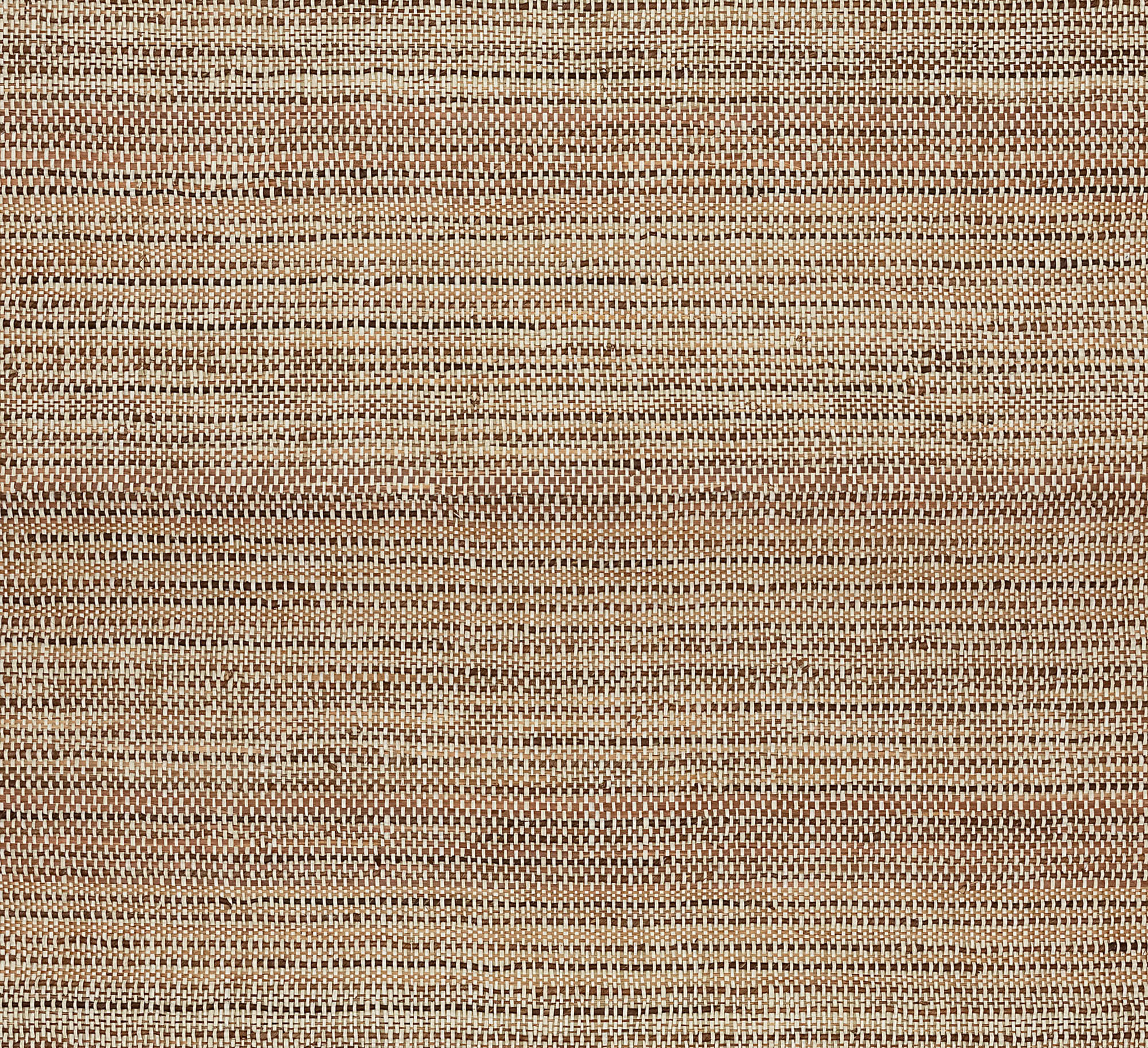 Arte Intuition Perception INT312