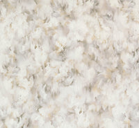 Arte Moooi Green House Silk Bombis MO5012