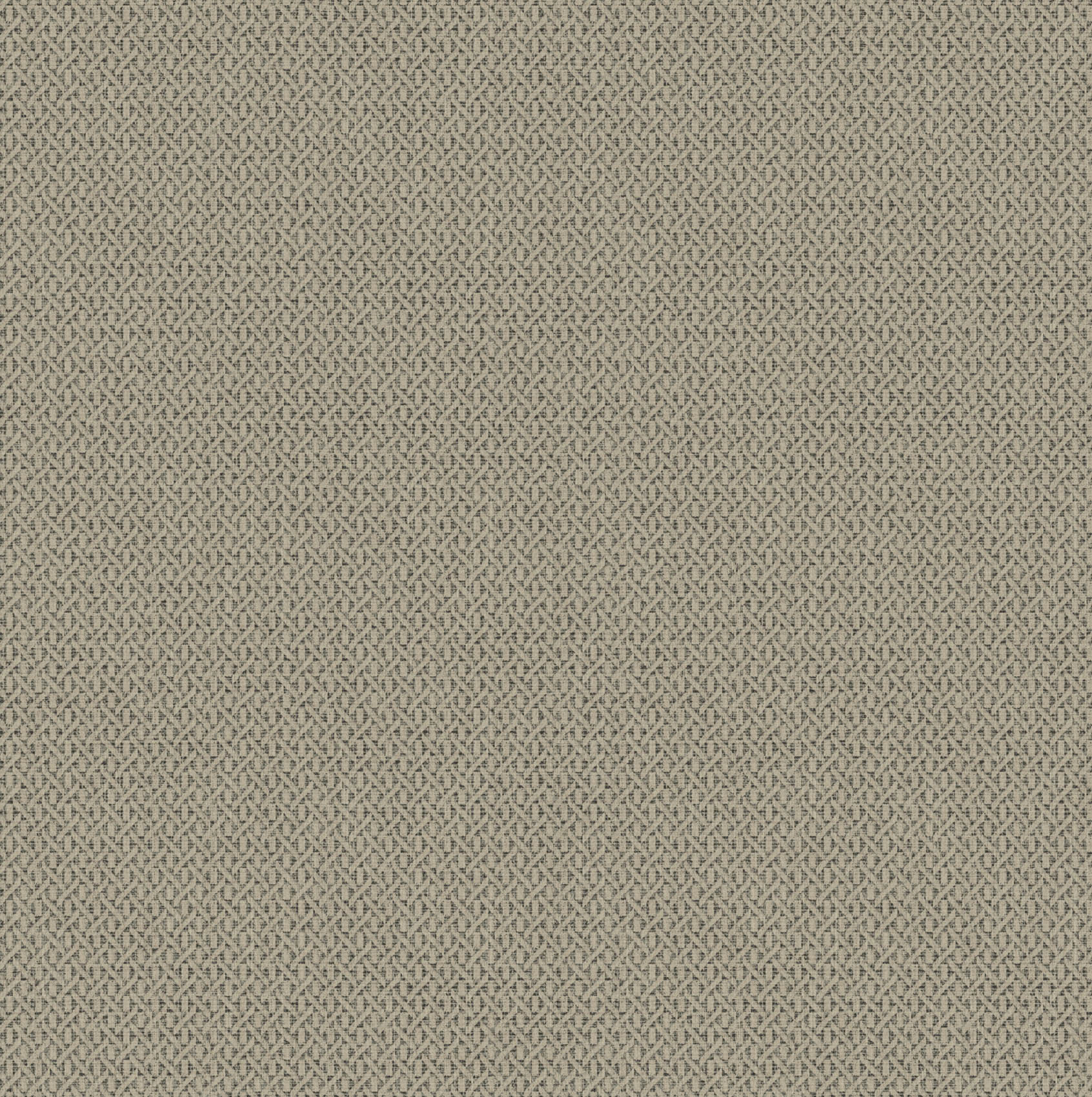 Hooked on Walls Natural Chic Roma 32643