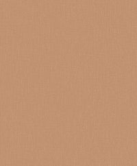 Hooked on Walls Neutralizer 01 Plain 31620