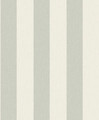 Hooked on Walls Neutralizer 01 Stripe 31646