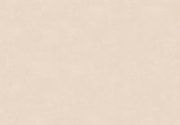 Hooked on Walls New Bali 46808