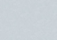 Hooked on Walls New Bali 46832