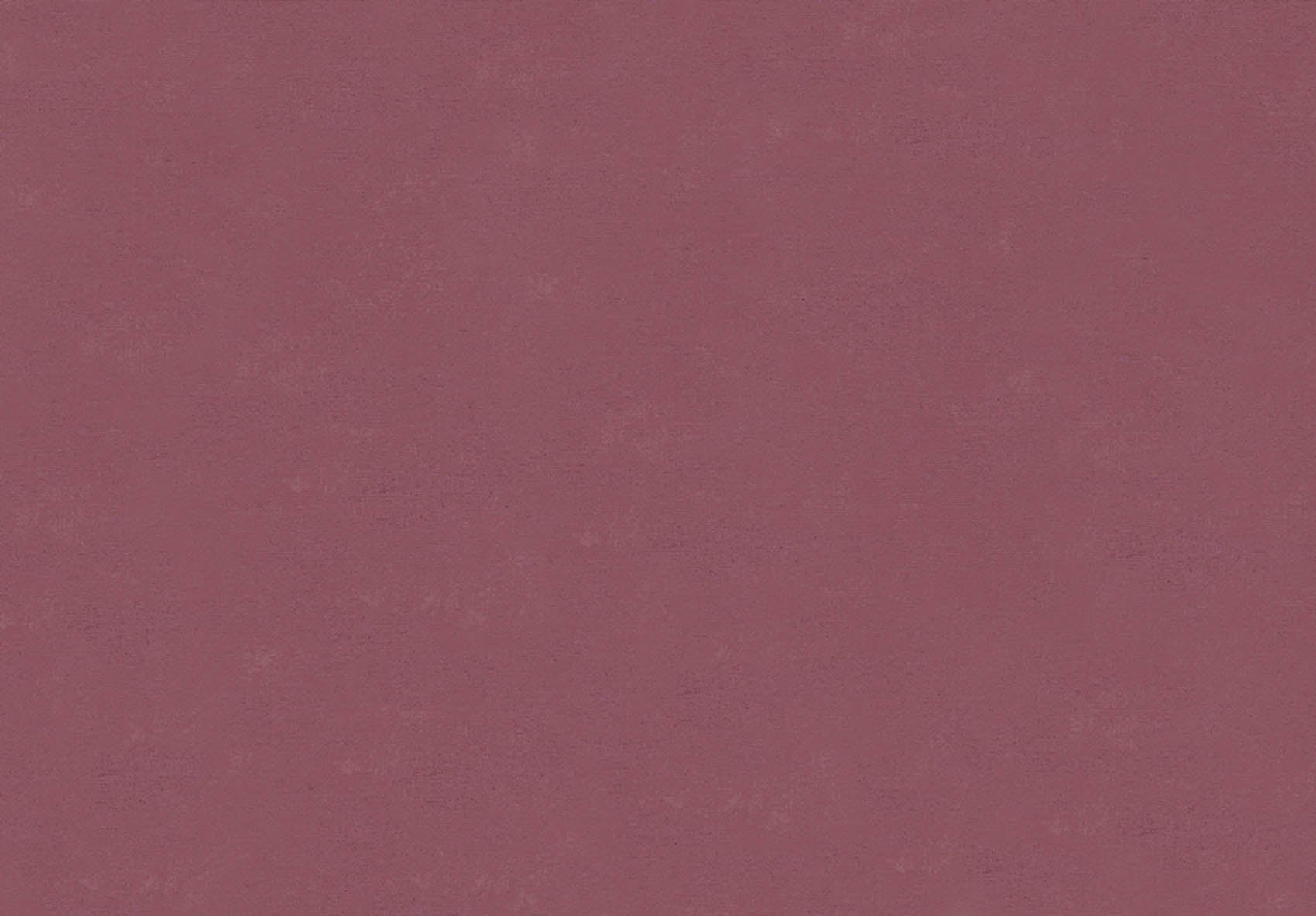 Hooked on Walls New Bali 46846