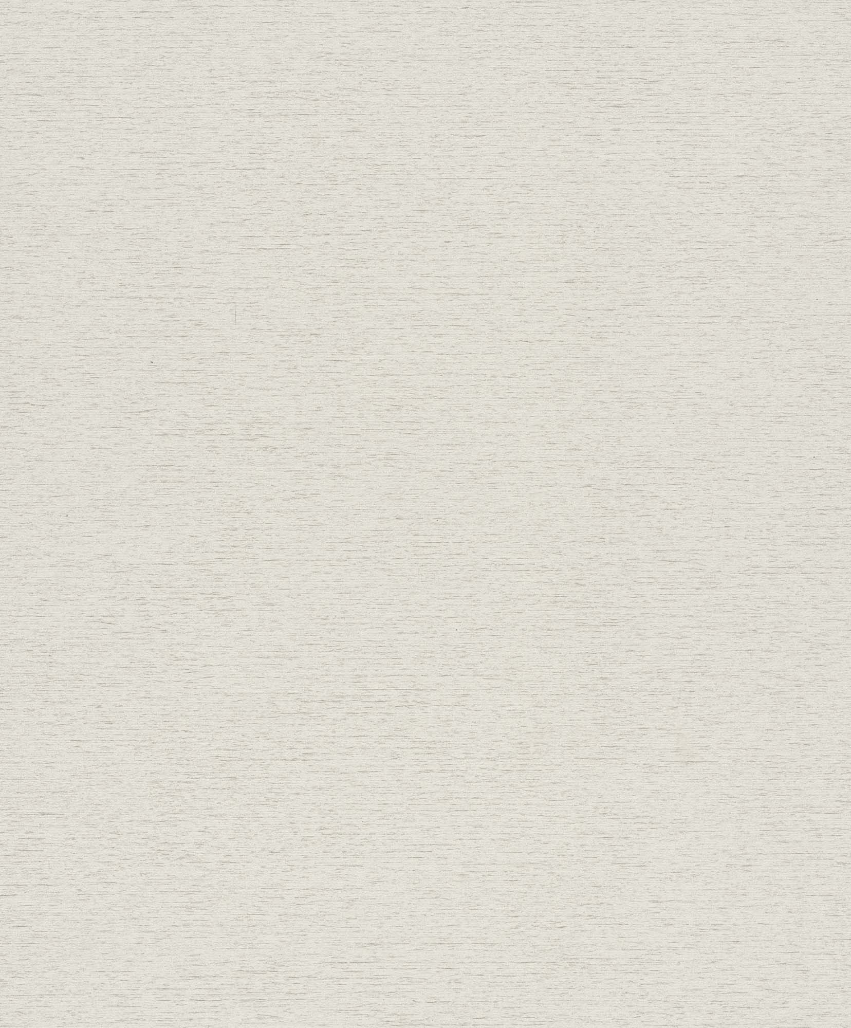 Hooked on Walls Passe Partout 2025 Travertino 4411