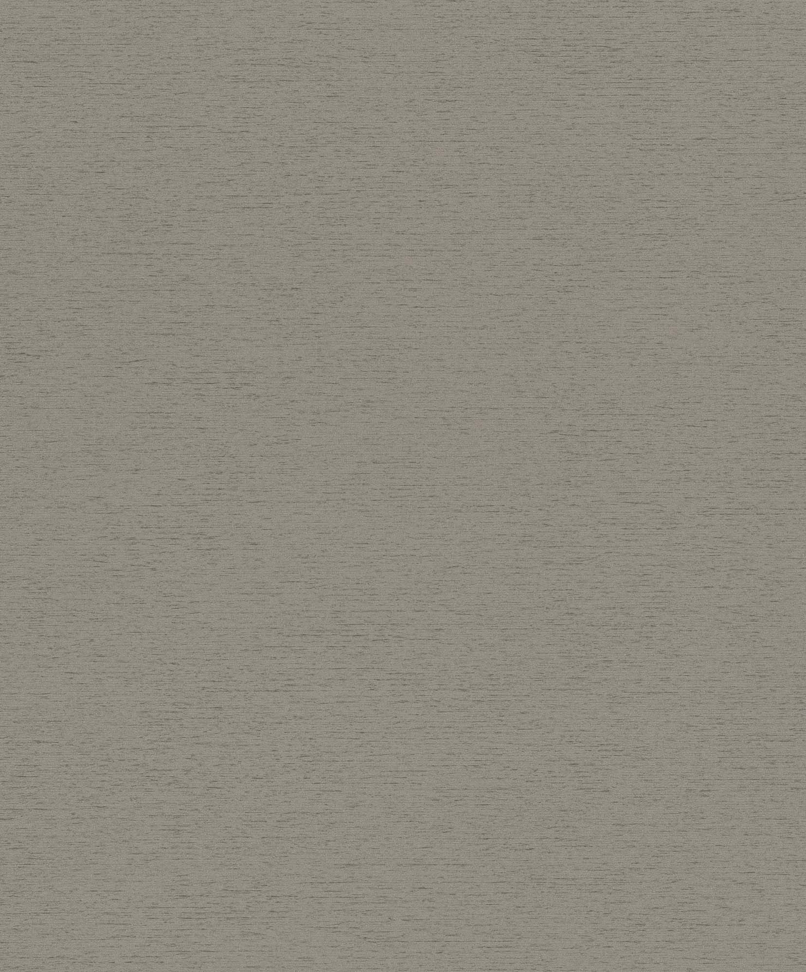 Hooked on Walls Passe Partout 2025 Travertino 4446