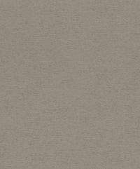 Hooked on Walls Passe Partout 2025 Travertino 4446