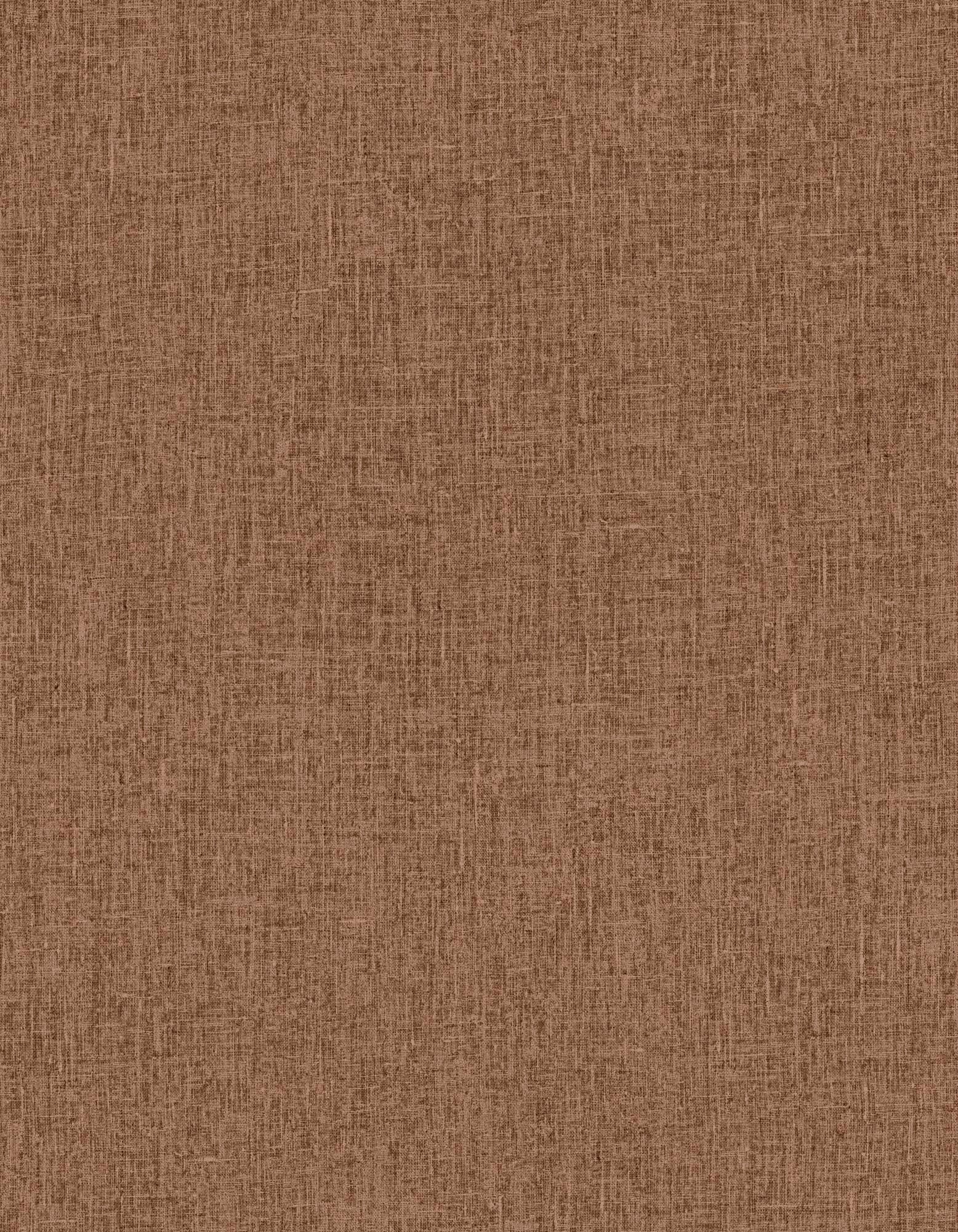 Hooked on Walls Passe Partout 2025 Unito 4453